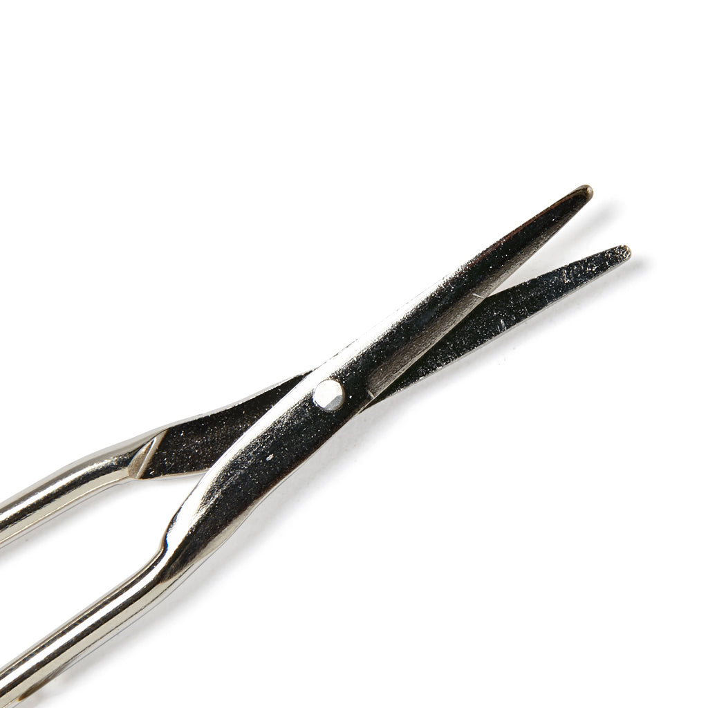 Scissors Blunt Nickel Plated 10cm 11001004